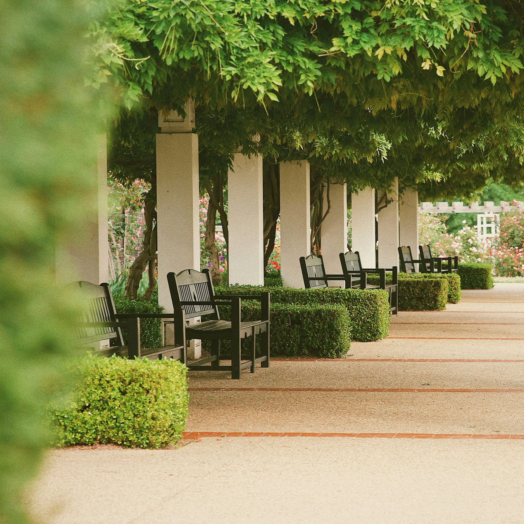 Attractive and inviting grounds with benches, trees, bushes, and walkways